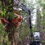 sb0206130bij_300BA90_HolzGreifer-Messer_3v_10bij