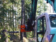 sb0206170bij_650S_HolzGreifer_10bij