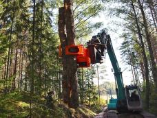 sb0206170bij_650S_HolzGreifer_16bij