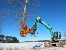 sb0206170bij_650S_HolzGreifer_20bij