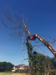 sb0206430icm_ICM_GRA-C30_Holzgreifer-Messer-Bagger_08icm