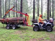 sb0218140kra_T2000 Rückewagen-2.0t_Kran-3.5m_08sbf