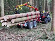 sb0218140kra_T2000 Rückewagen-2.0t_Kran-3.5m_10sbf