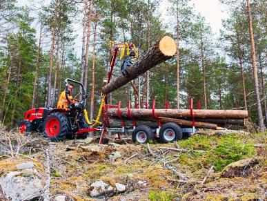 sb0218150kra_T3500 Rückewagen-3.5t_Kran_04sbf