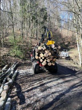 sb0218310mor_SF7_Rückewagen_7t_5.4m-Kran_14sbf