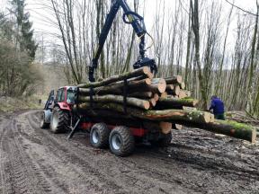 sb0218370mor_SF14_Rückewagen_14.0t_8.5m-Kran_10sbf