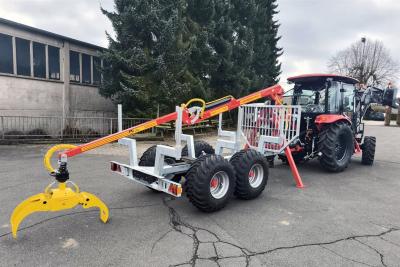 sb0218460sbf_SBF-ST6000_Rückewagen_2x-Kran_Logo