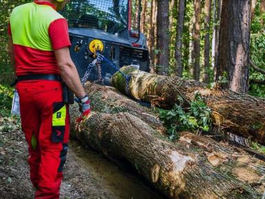 sb0226300uni_Uniforest ProfiWinde 70GK_90GKpower_06uni